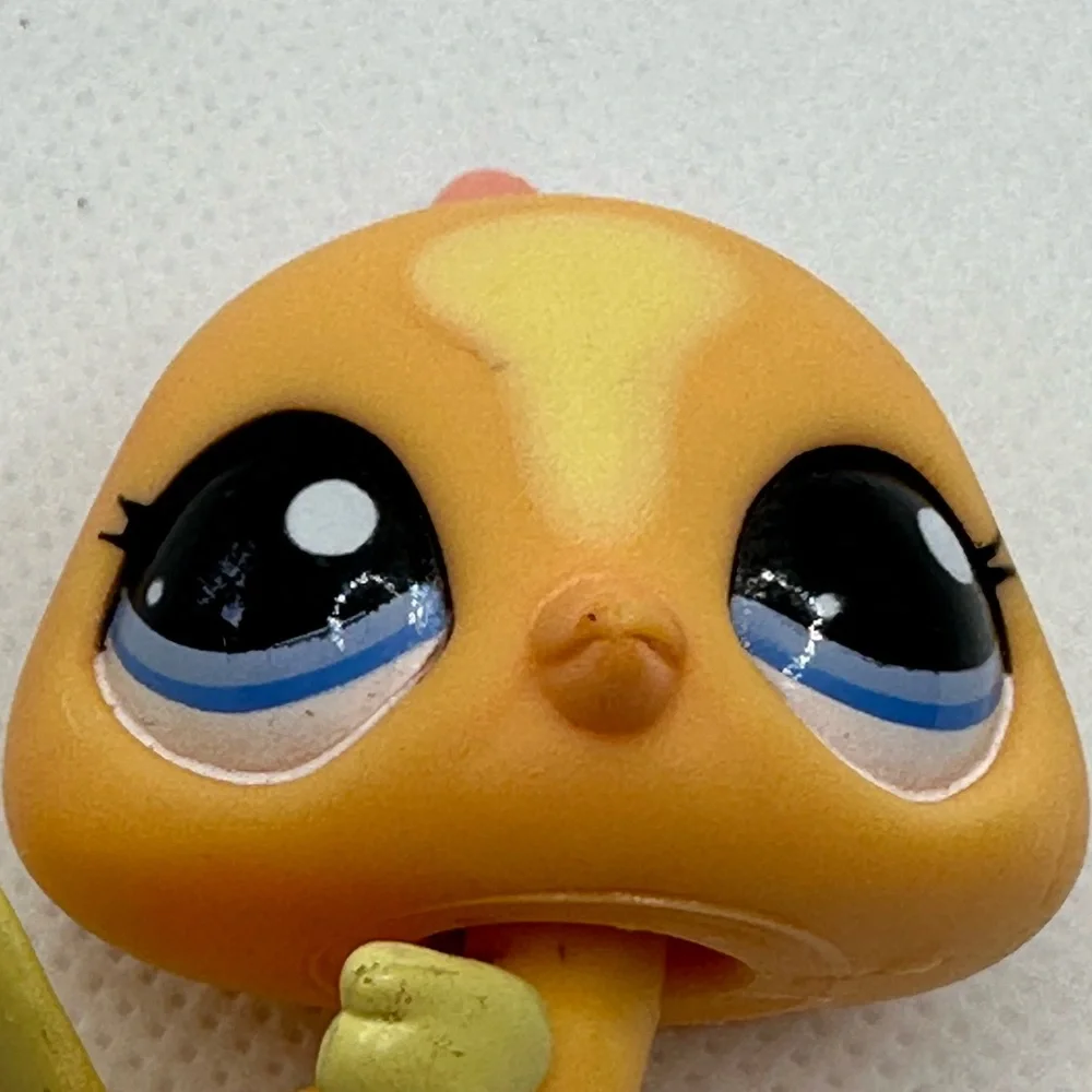 Orange and Yellow Pastel Peacock‎ Bird Littlest Pet Shop.  Guaranteed authentic